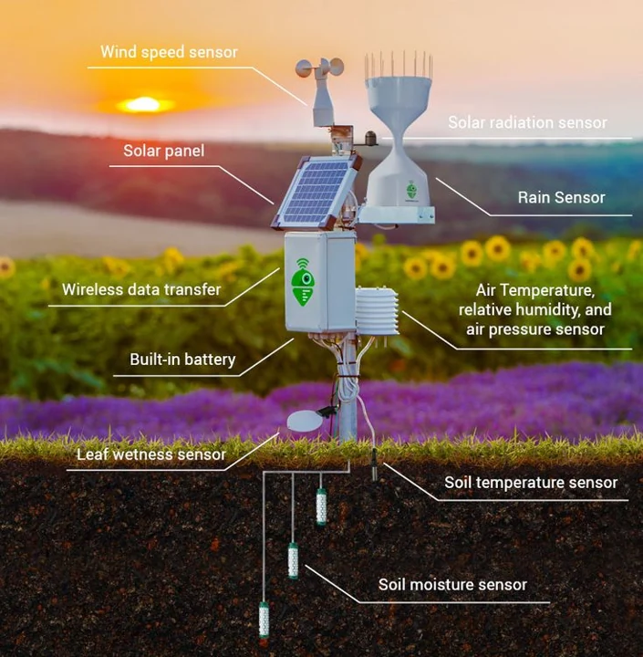 Smart agriculture monitoring system with environmental sensors